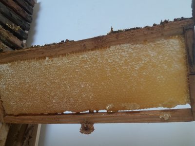 عسل ارگانیک، بدون شکر و مانده دارویی