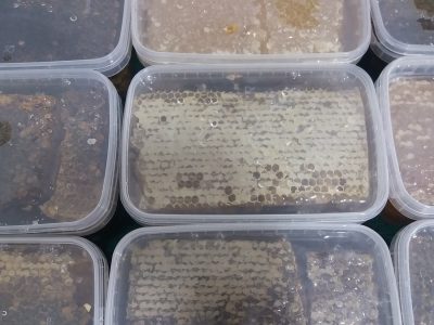 عسل ارگانیک، بدون شکر و مانده دارویی