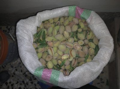 بادام کاغذی