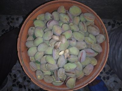 بادام کاغذی